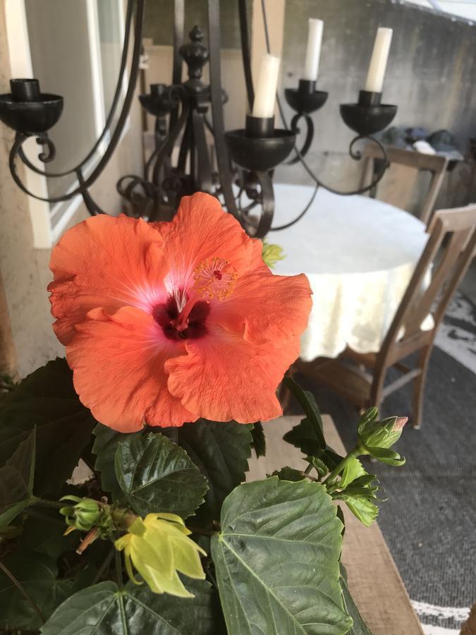 Donna'S Bed & Breakfast ホワイトロック エクステリア 写真